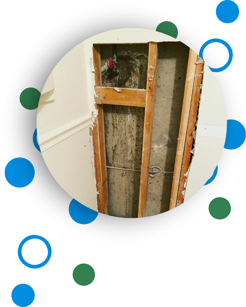 Mold Removal Keeneland KY
