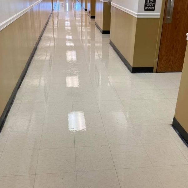 Carpet Cleaning Results