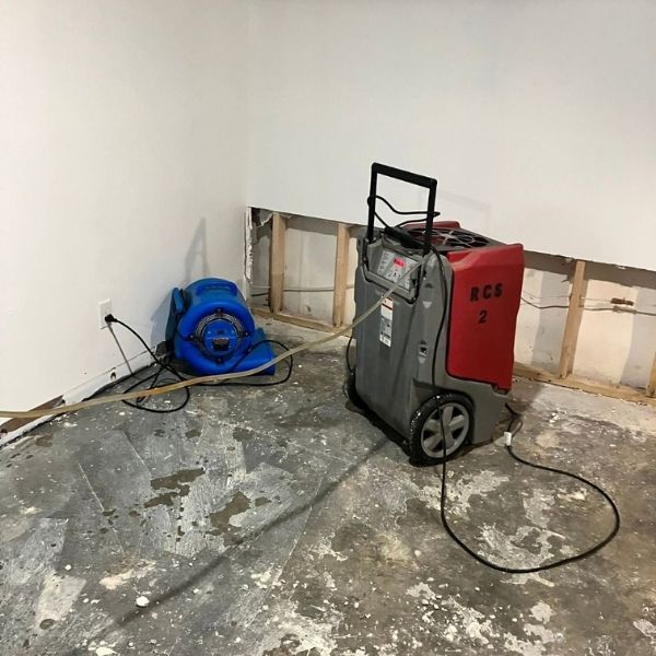 Carpet Cleaning Results
