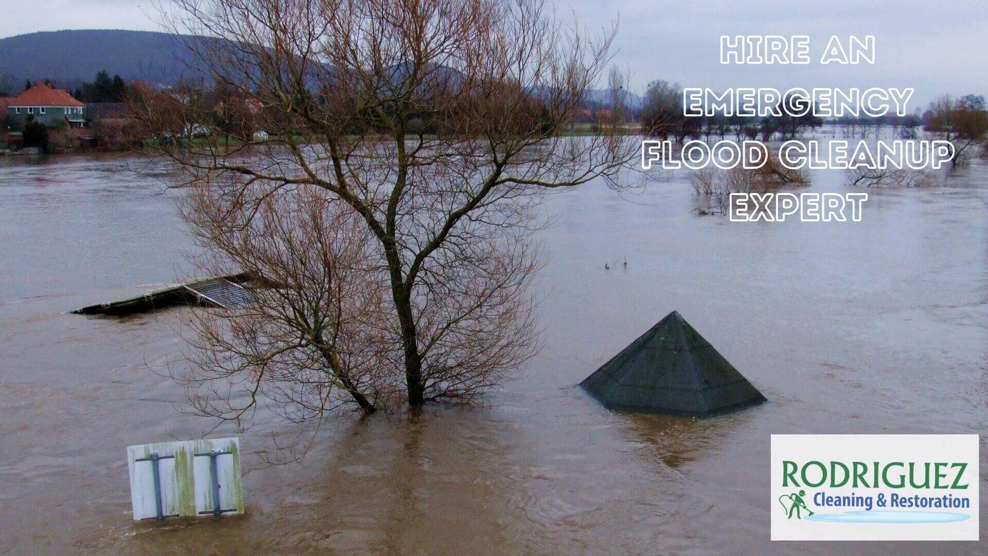 Louisville Emergency Water Extraction Flooding Clean up