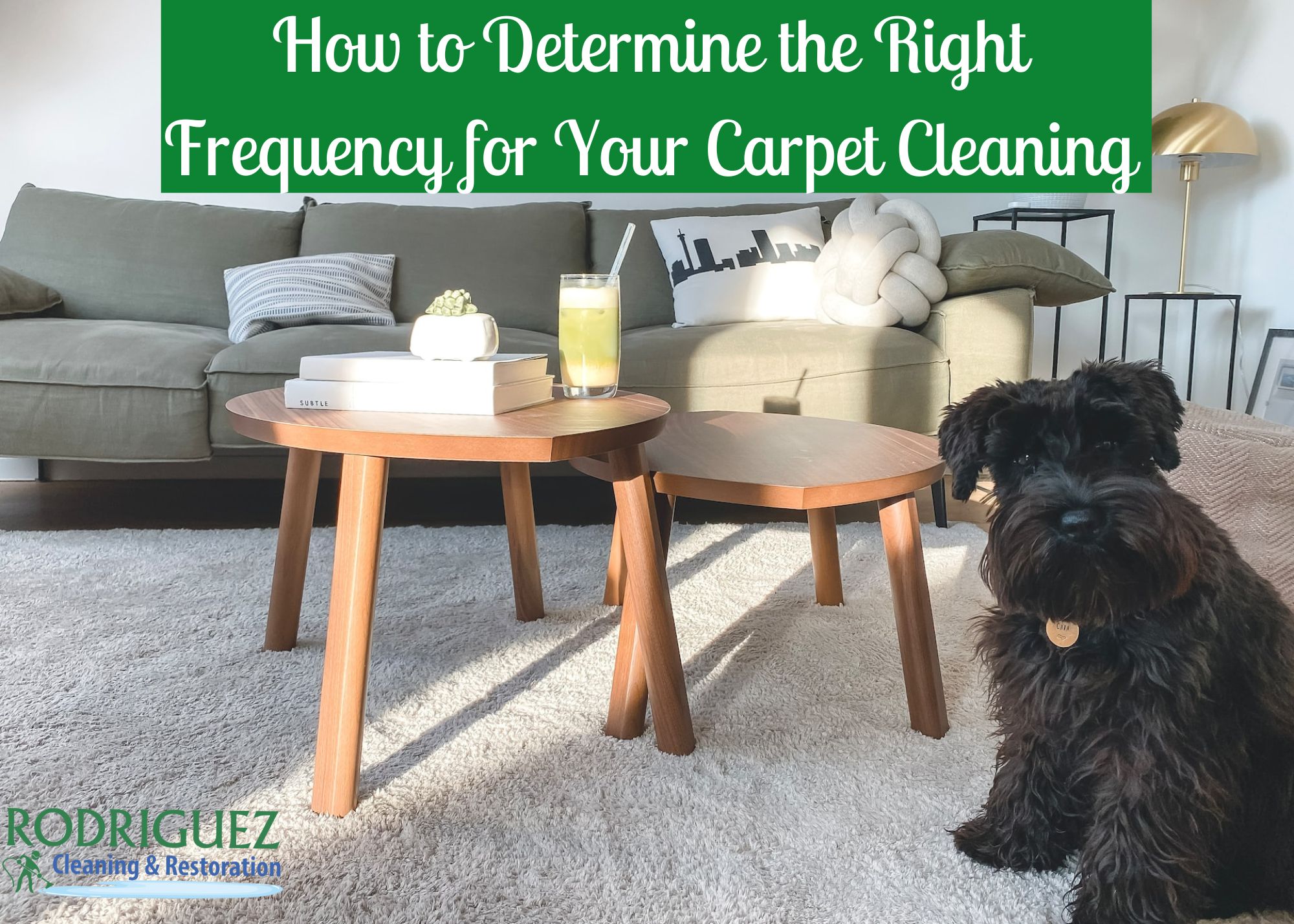 How to Determine the Right Frequency for Your Carpet Cleaning