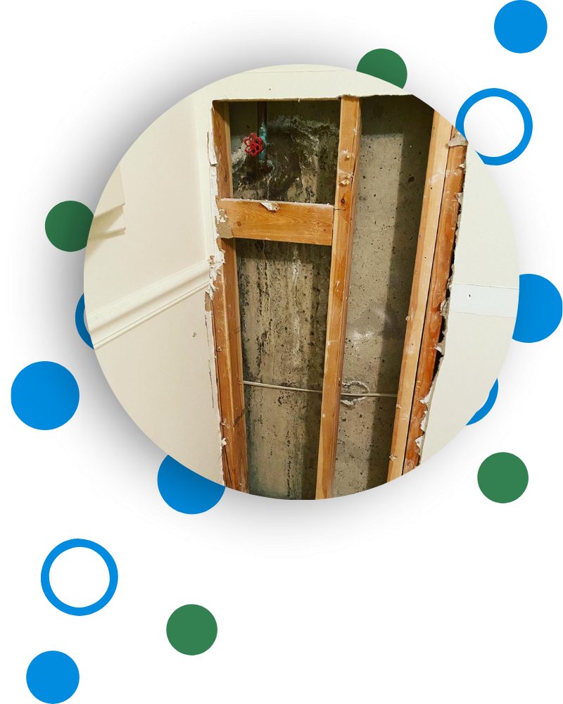 Mold Removal Rolling Fields KY