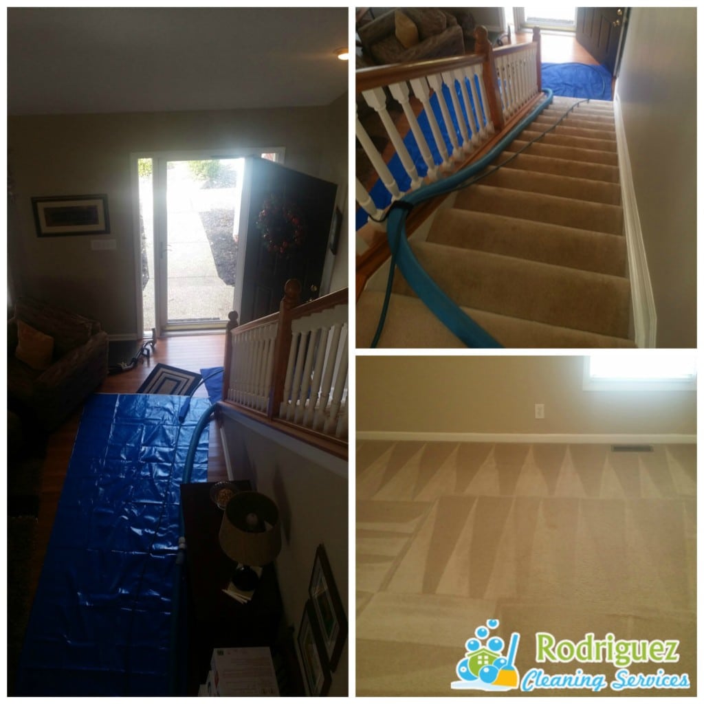 Professional steam carpet cleaning louisville