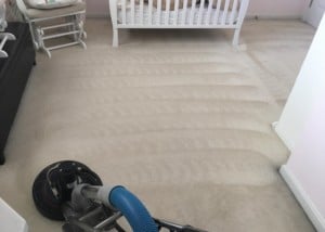 Deep Carpet Cleaning Louisville