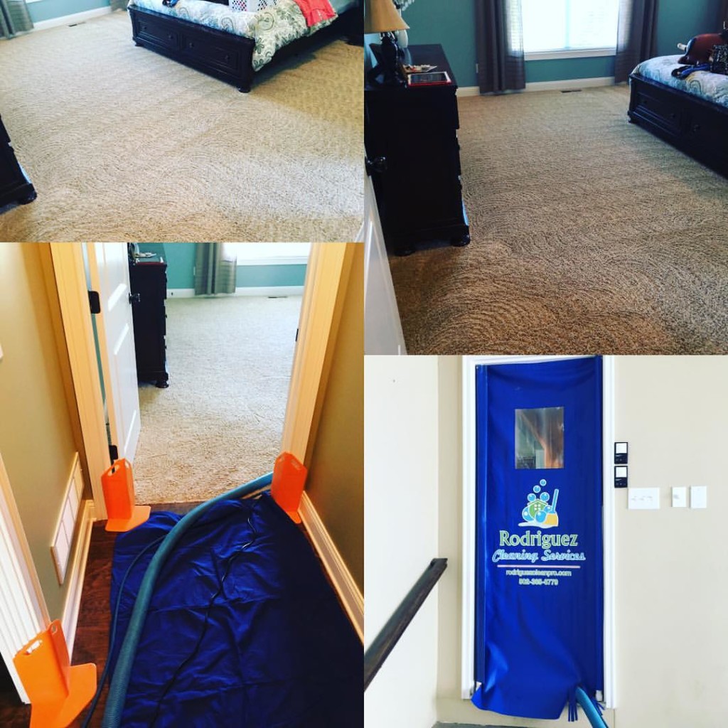 Carpet Cleaner Louisville