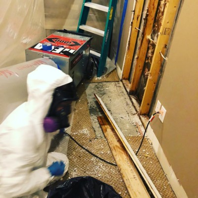 Louisville Mold Cleaning