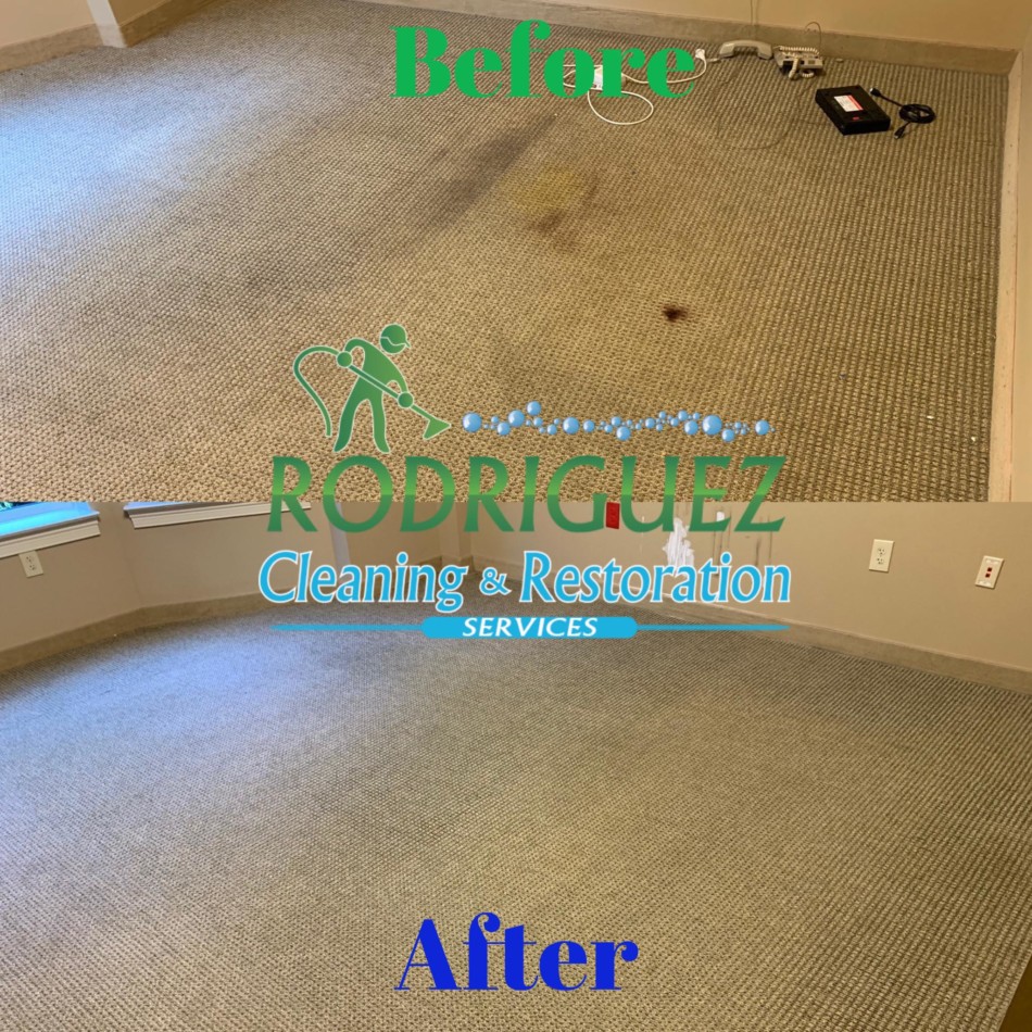 Commercial Carpet Cleaning Services Louisville KY