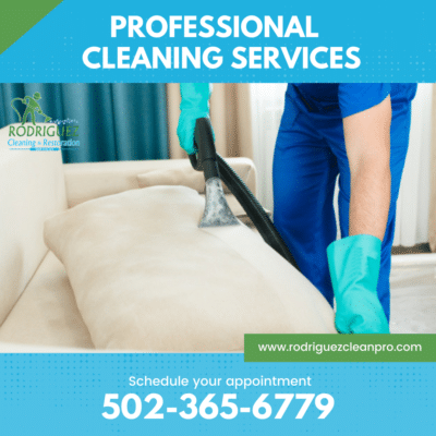 Louisville Upholstery Cleaning