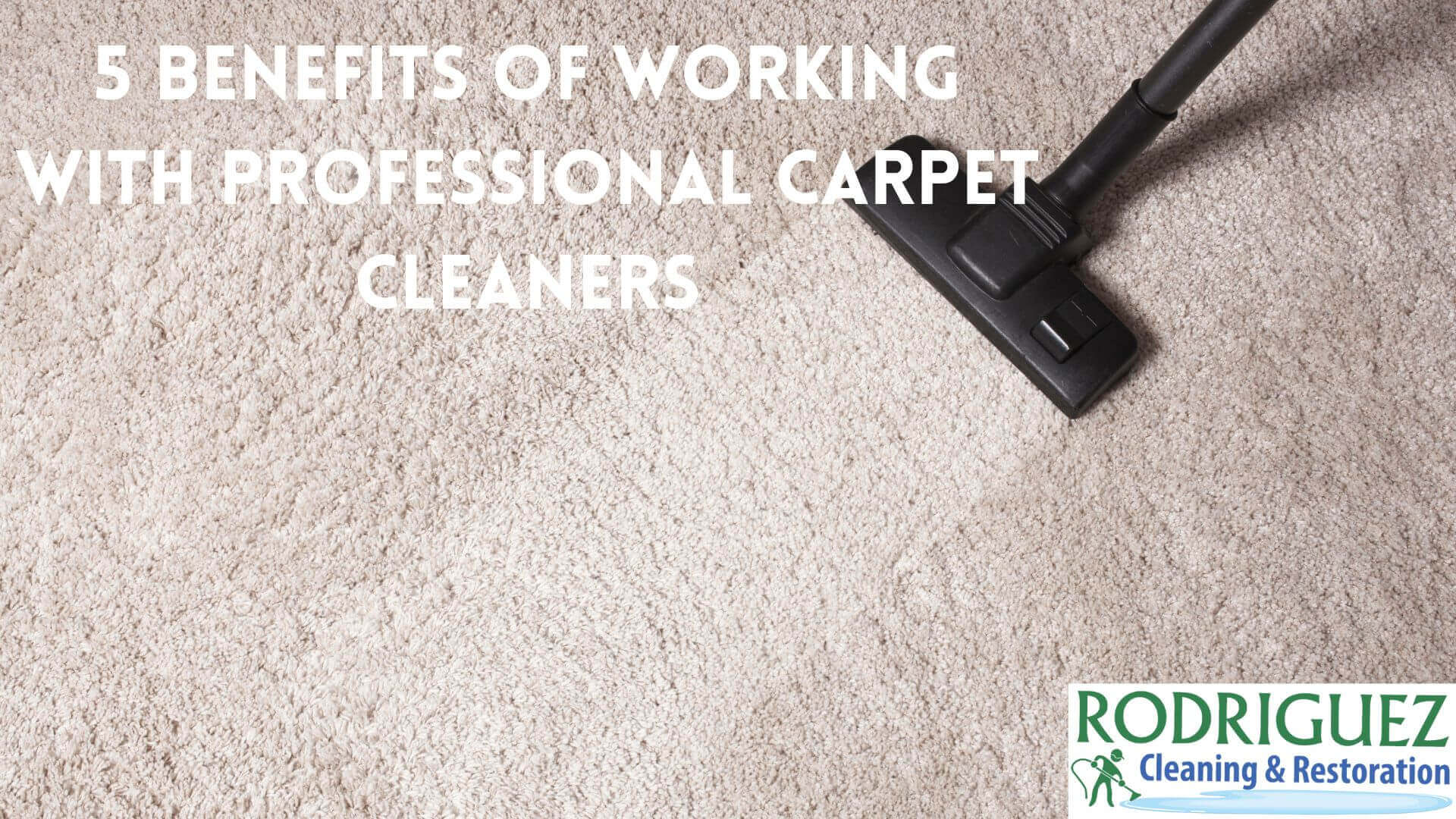 5 Benefits of Working with Professional Carpet Cleaners Louisville KY