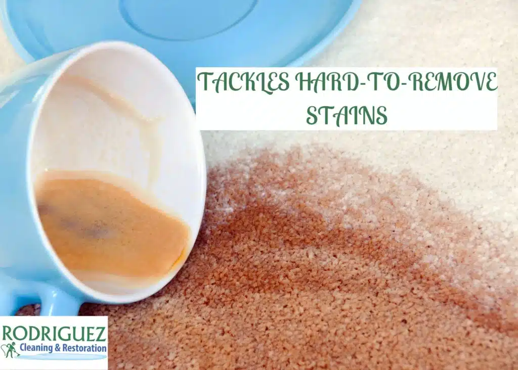 Tackles Hard-to-Remove Stains