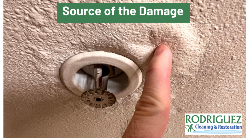 Source of the Damage