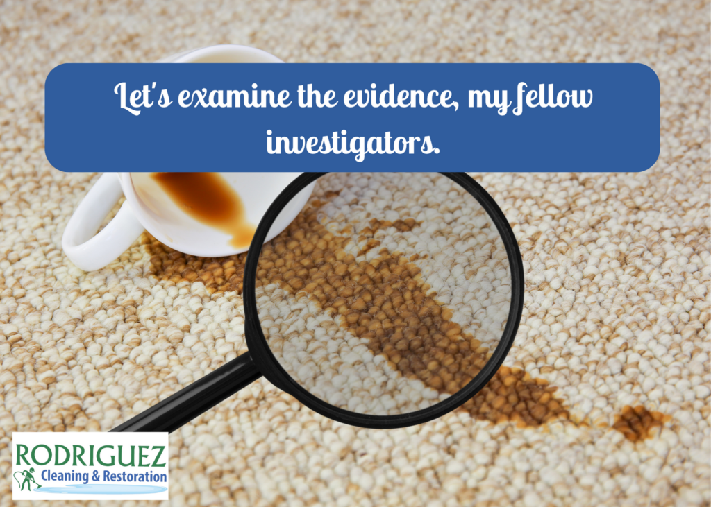 Let's examine the evidence, my fellow investigators.