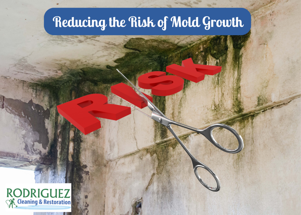 Reducing the Risk of Mold Growth