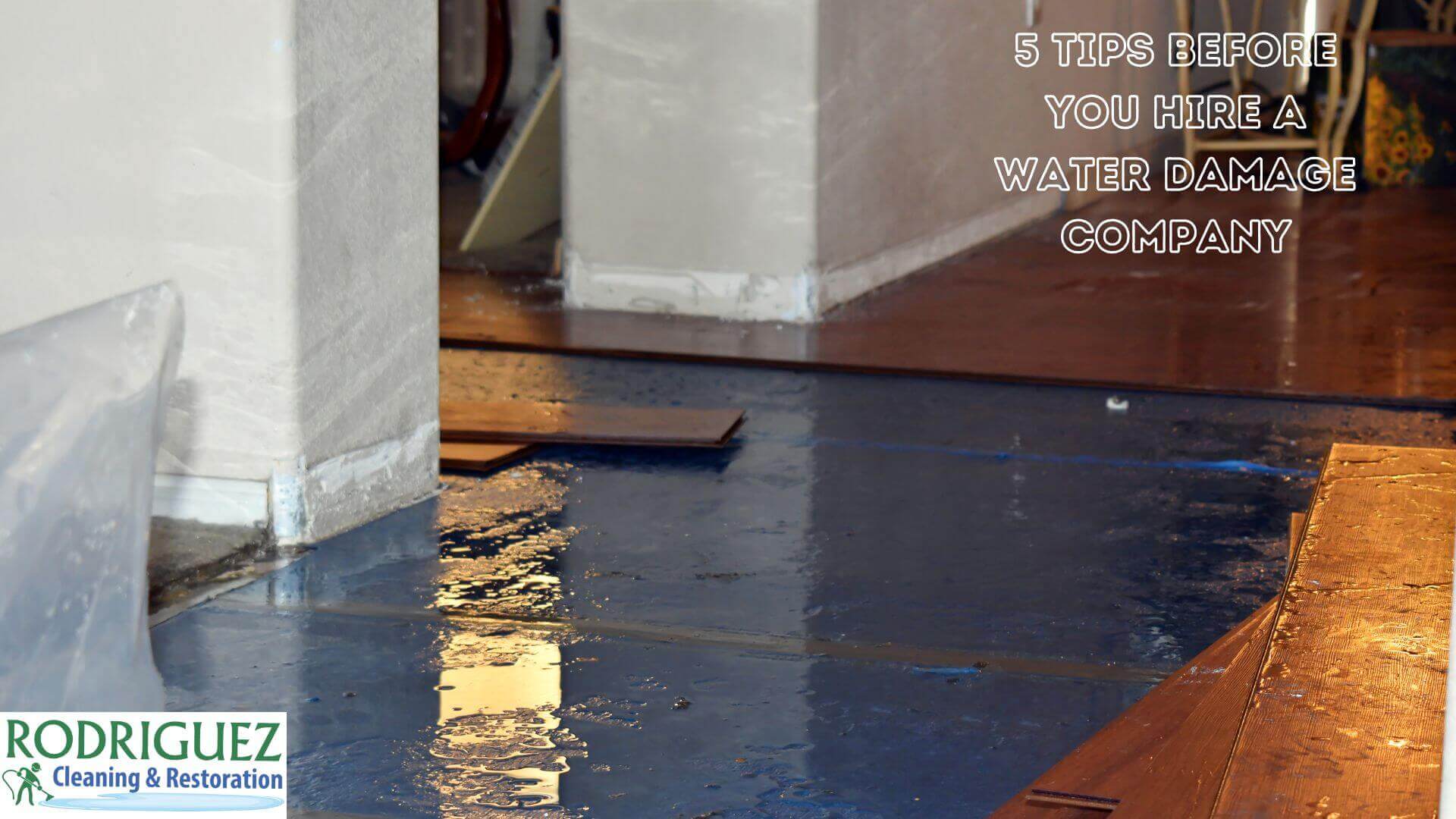 5 Tips Before You Hire A Water Damage Company in Louisville KY