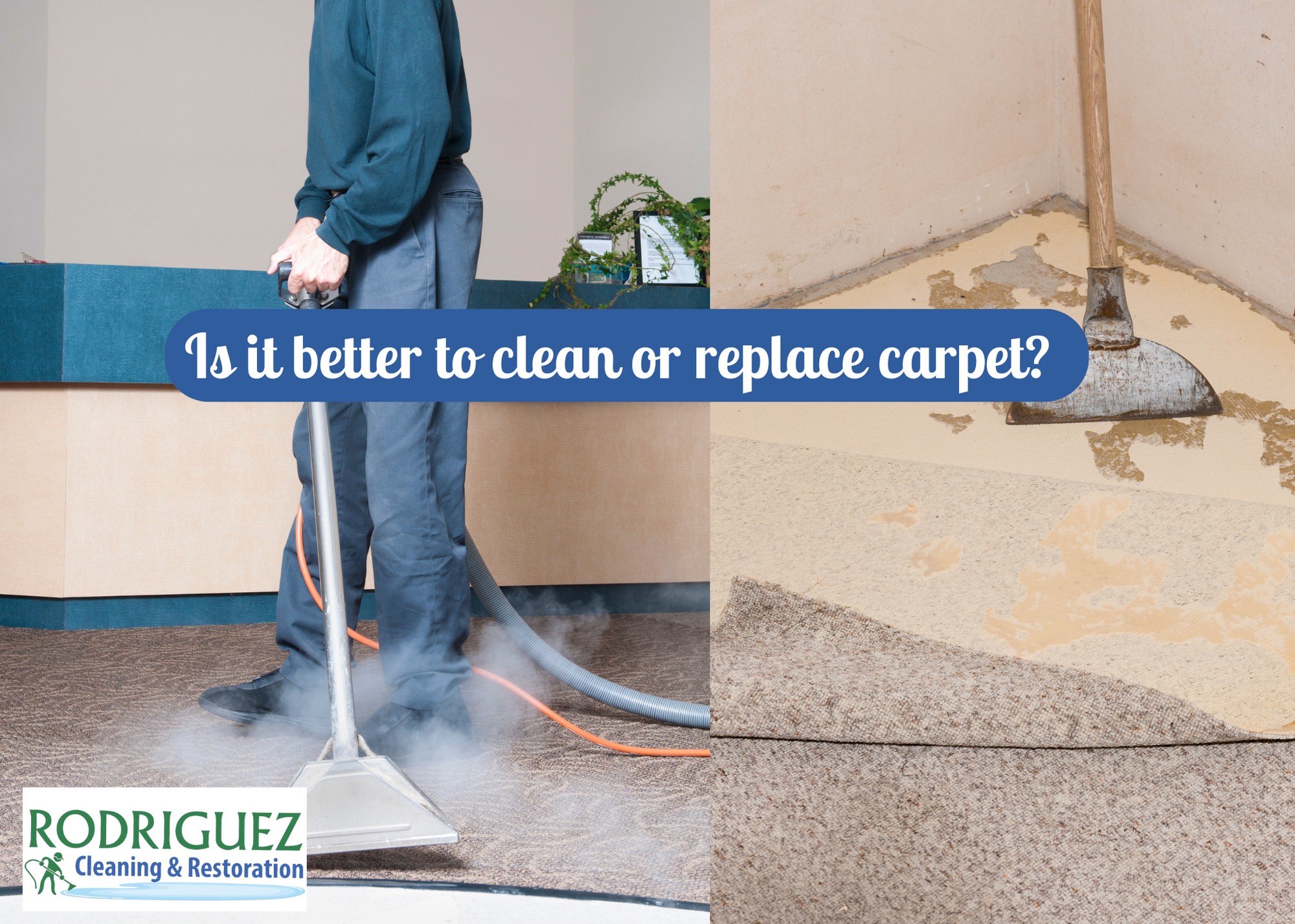 Is it better to clean or replace carpet?