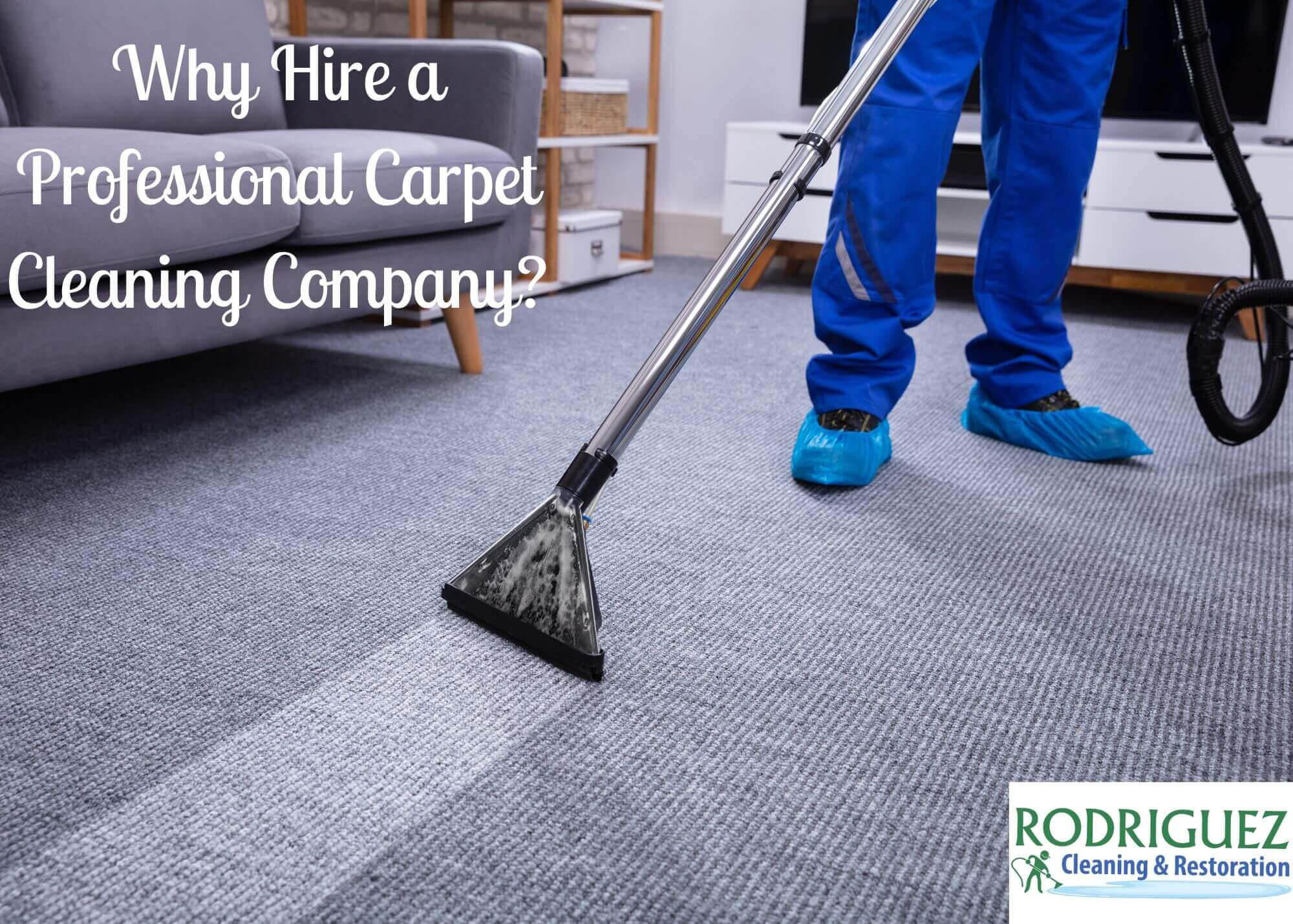 Why Hire a Professional Carpet Cleaning Company? Louisville KY