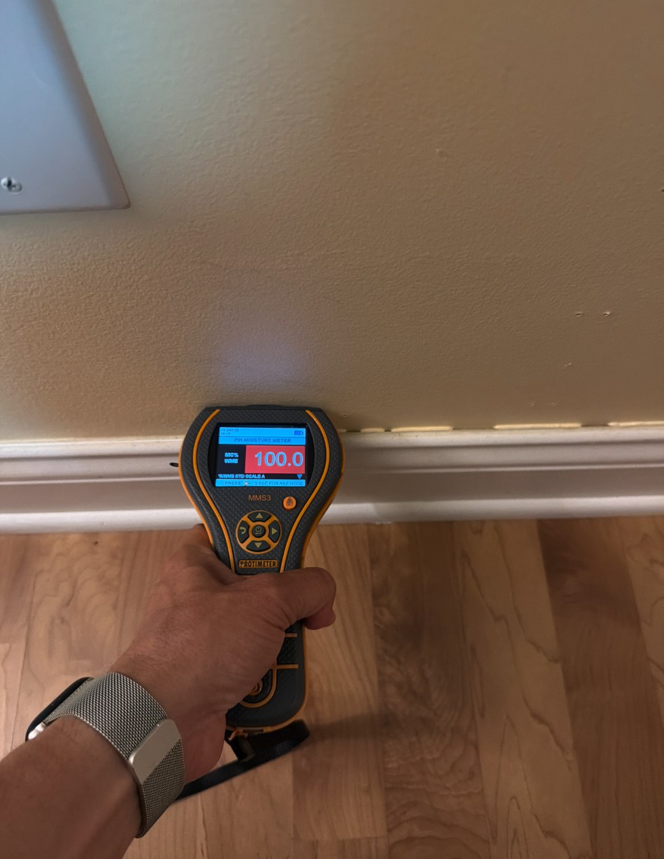 Pin moisture meter reading 100 on basement drywall above the baseboard in Louisville