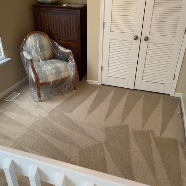 Carpet Cleaning Results