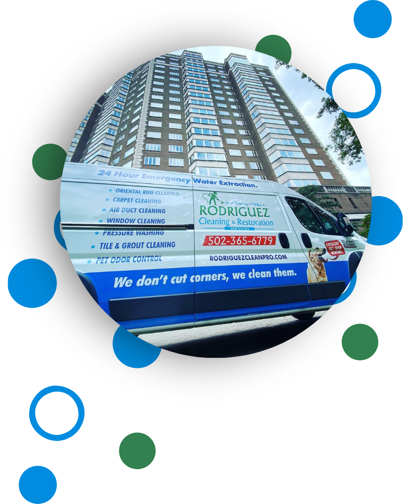 Commercial Carpet Cleaning Near You