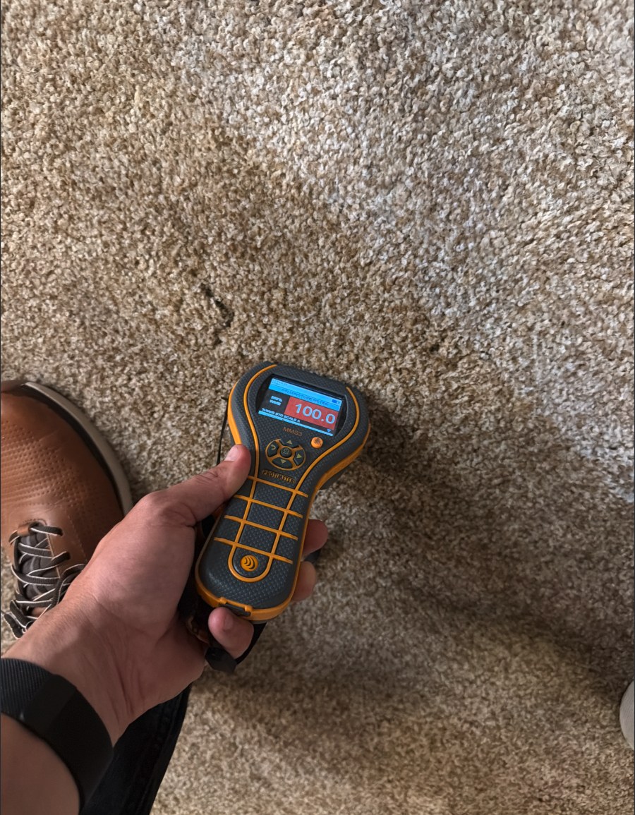 Moisture meter reading 100 on saturated carpet in a Louisville home