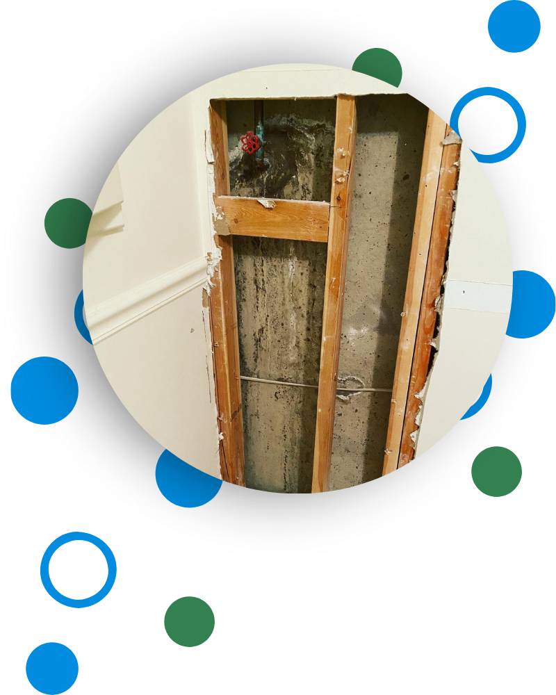 Mold Removal Strathmoor Village KY