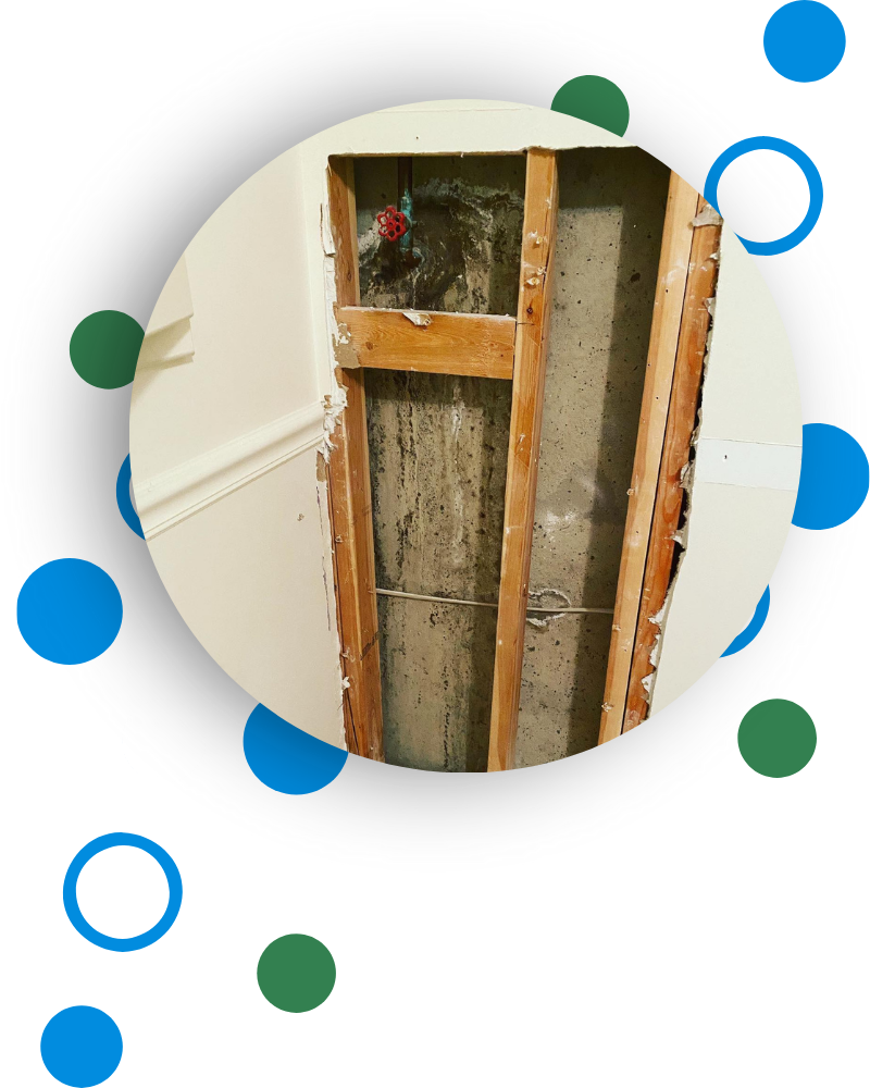 Mold Removal Watterson Park KY