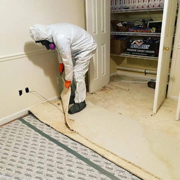 Carpet Cleaning Results