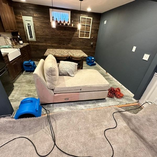 Carpet Cleaning Results