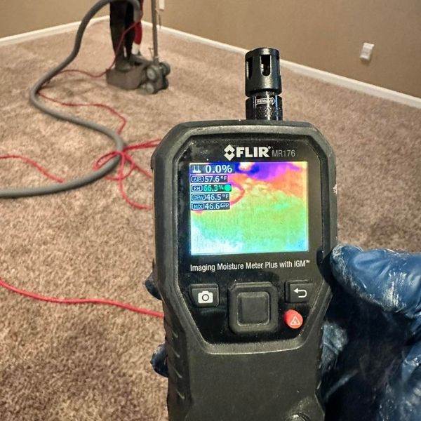 Carpet Cleaning Results