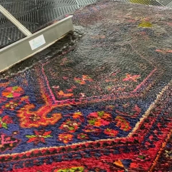 Carpet Cleaning Results