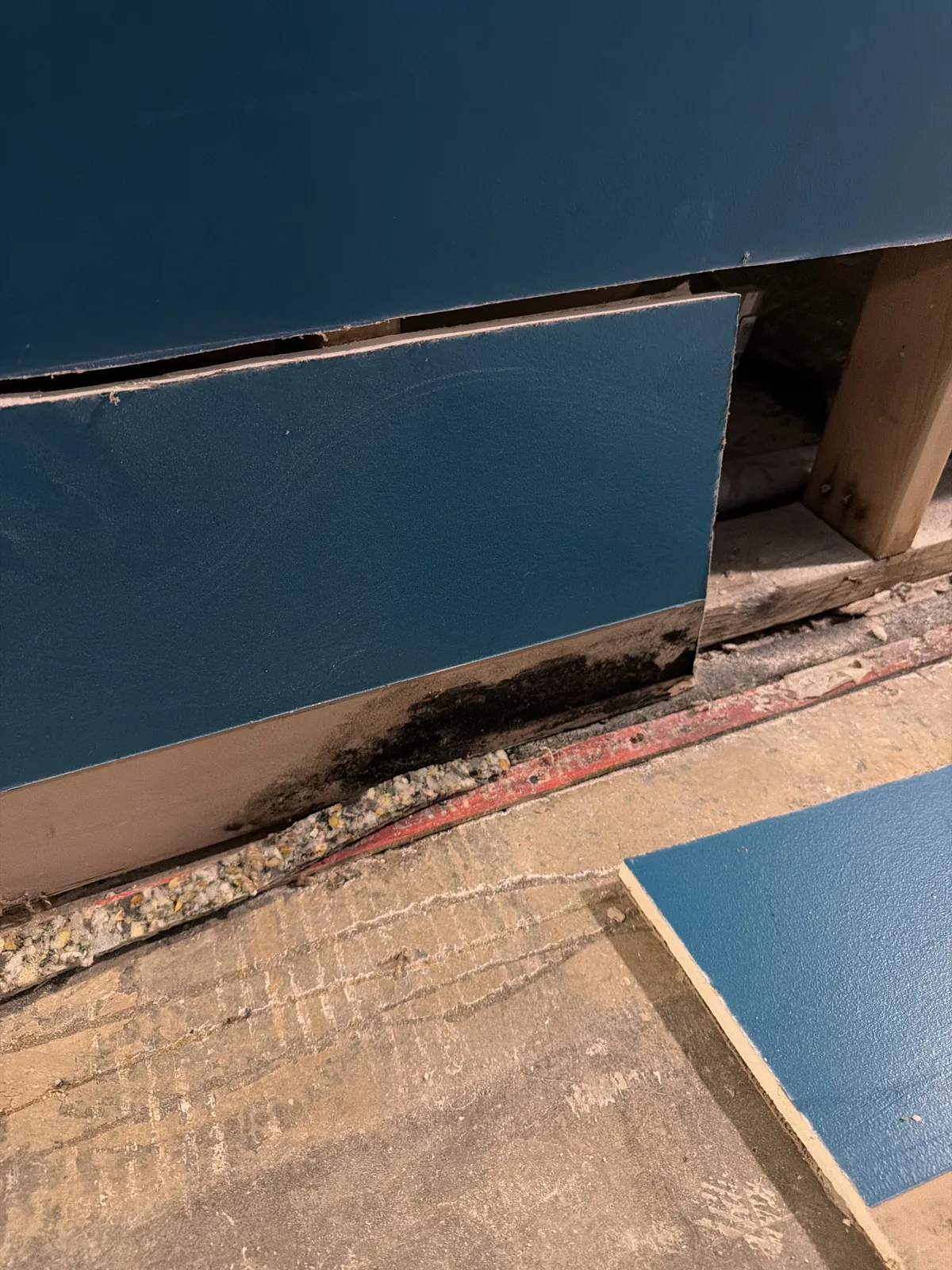 Flood cut drywall removal on a water-damaged wall in a Louisville home