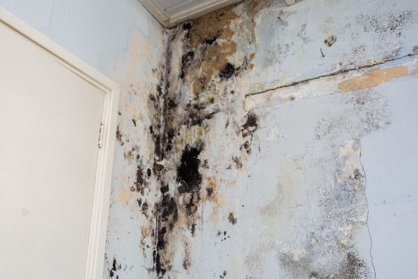 Water Damage Situations We Restore in Rolling Hills, KY